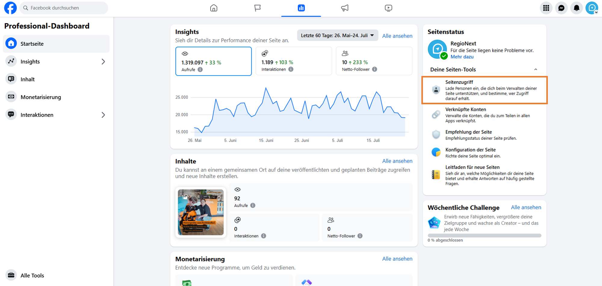 Seitenzugriff im Professional-Dashboard